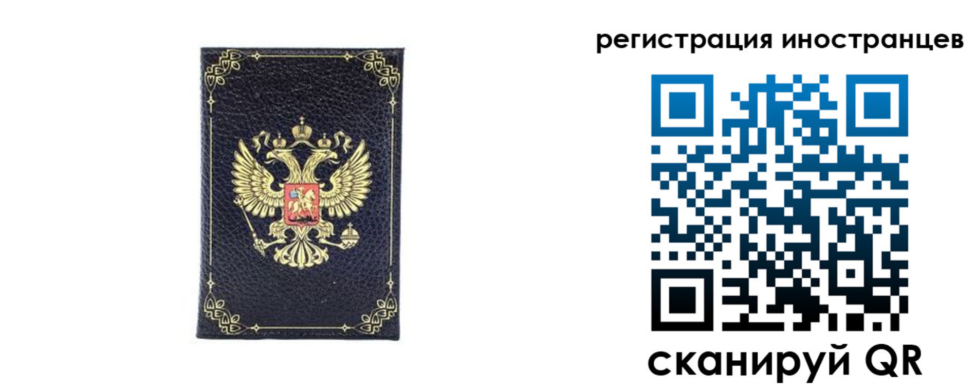 прописка для школы в Братске